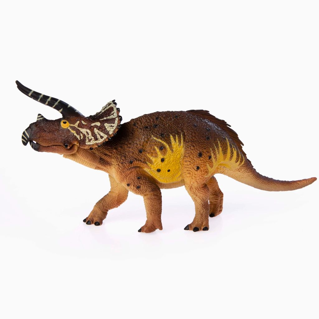 Archéo-Ludic - Tricératops – Yoti Boutique