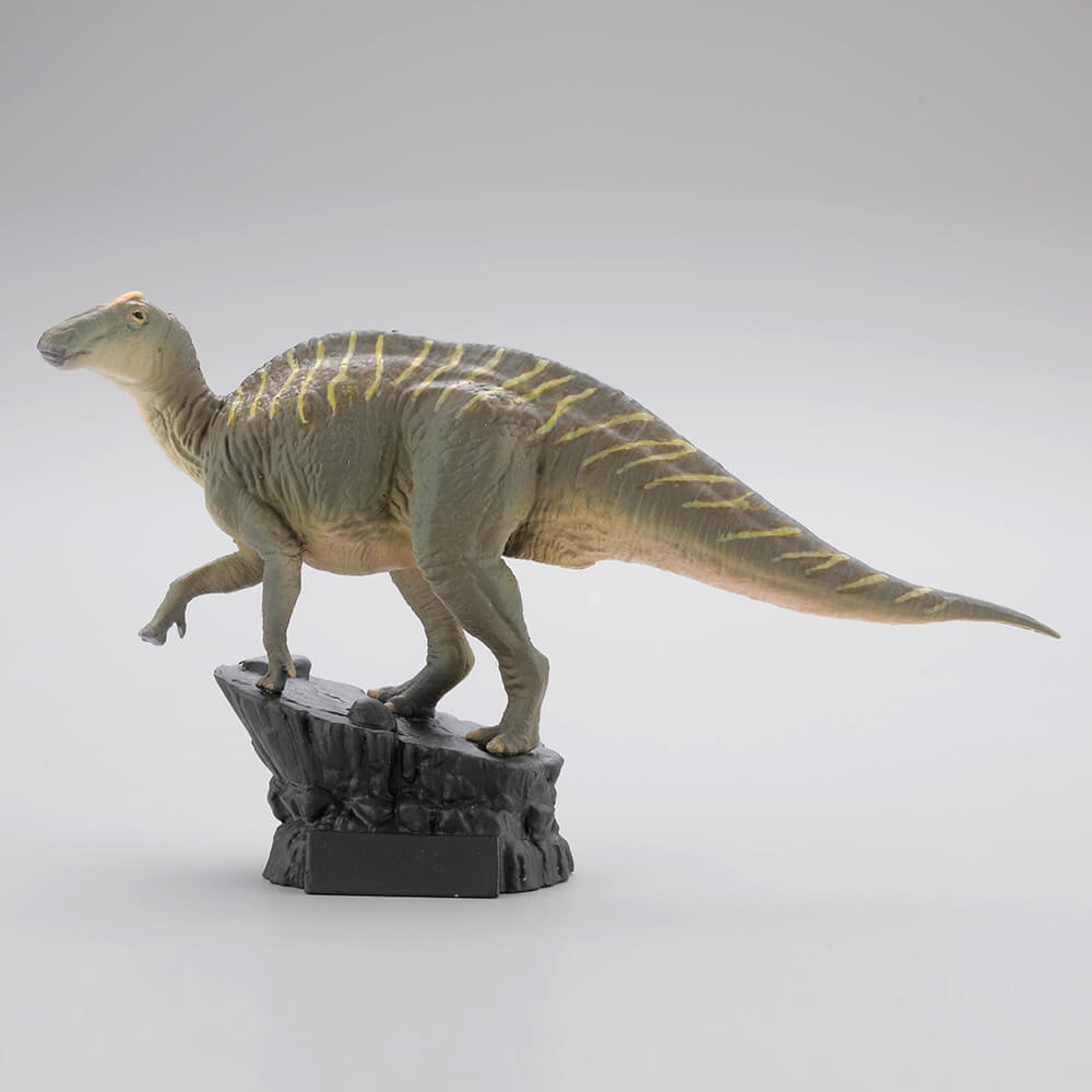 Japan Kaiyodo UHA Copepteryx Flightless Bird Dinosaur Realistic Miniature Figure